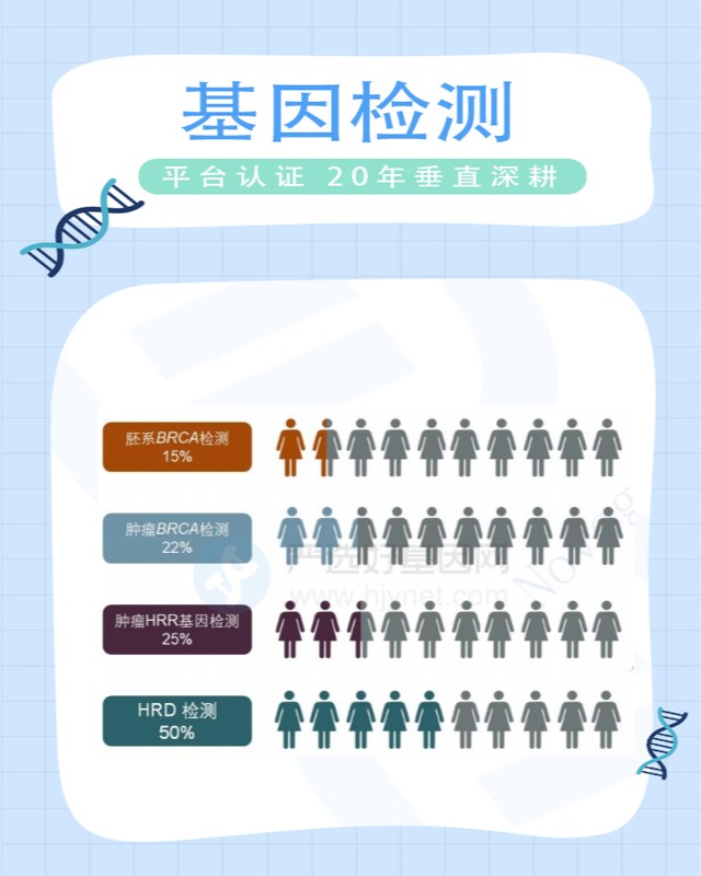 华大科技基因检测价目表有哪些流程